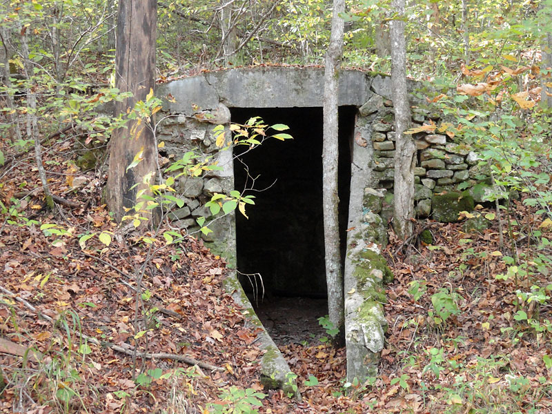 blairshelter.jpg