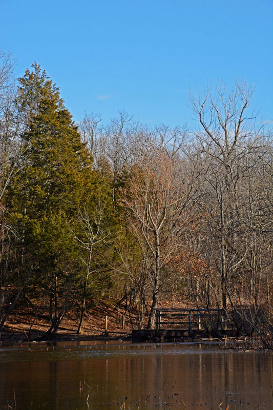 Rockwoods_Pond_1032.jpg
