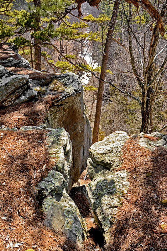 Big_Piney_1264.jpg