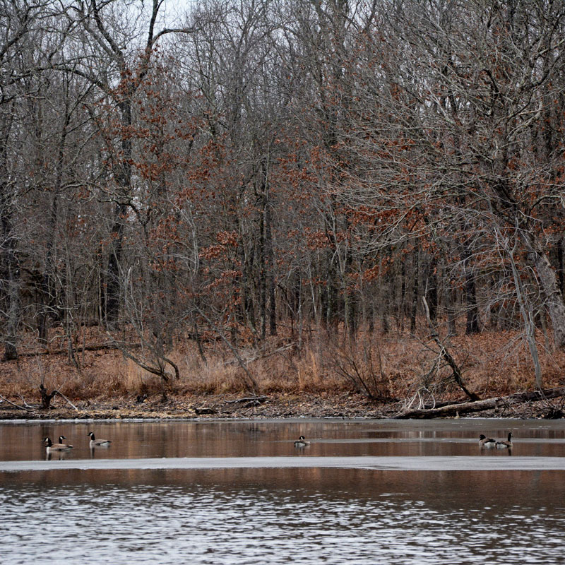 Roby_Lake_1346.jpg
