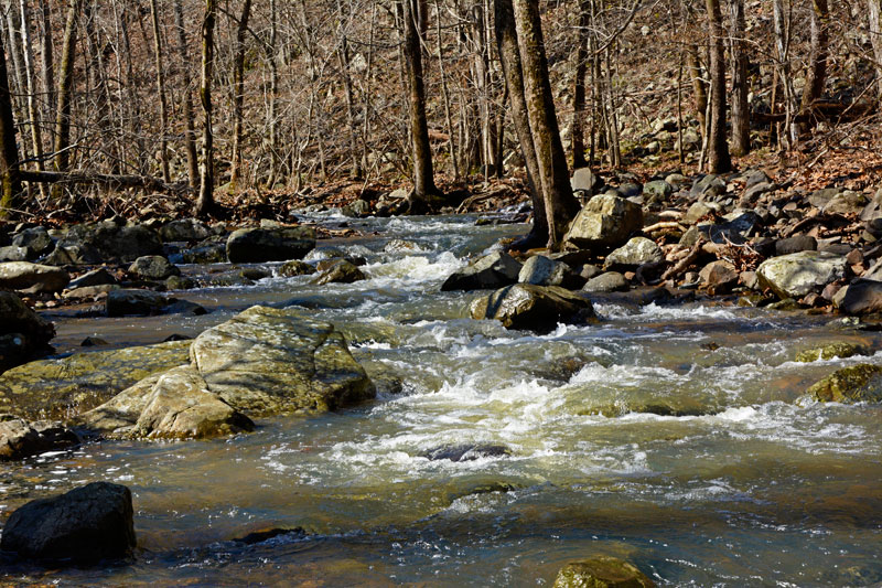 Mudlick_Creek_1494.jpg