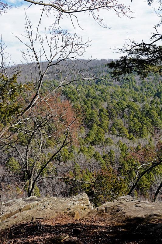 Mudlick_Trail_Bluffs_1457.jpg