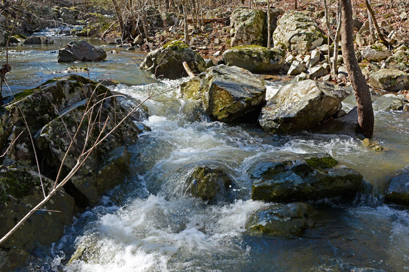 Mudlick_Creek_1594.jpg
