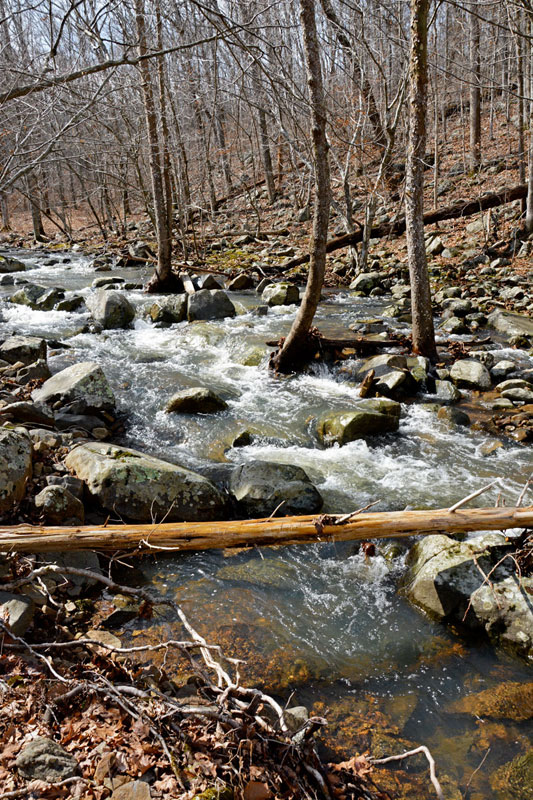 Mudlick_Creek_1713.jpg