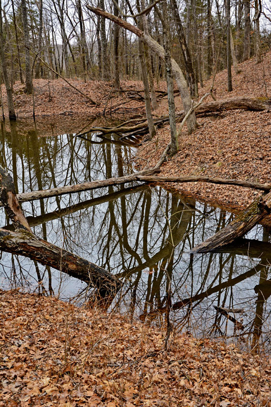 Pond_Reflections_1941.jpg