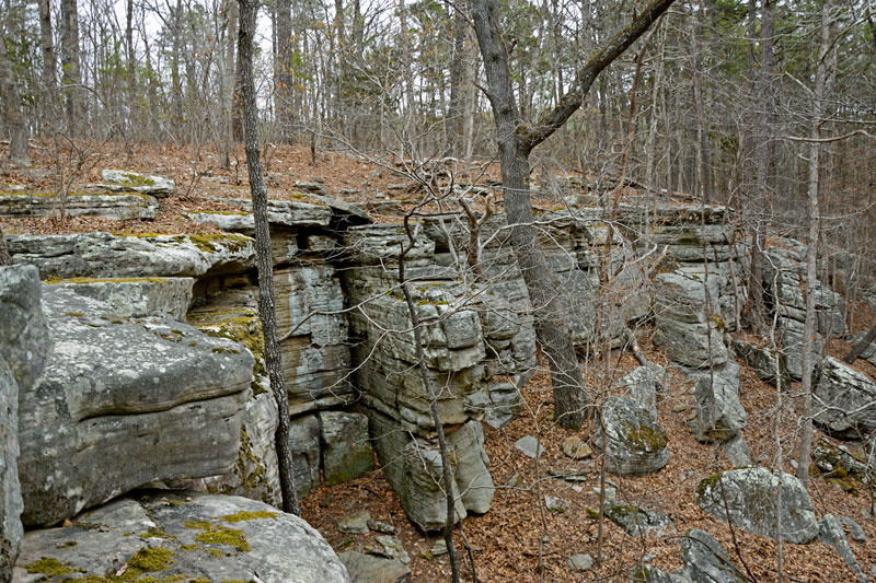 Big_Piney_1982.jpg