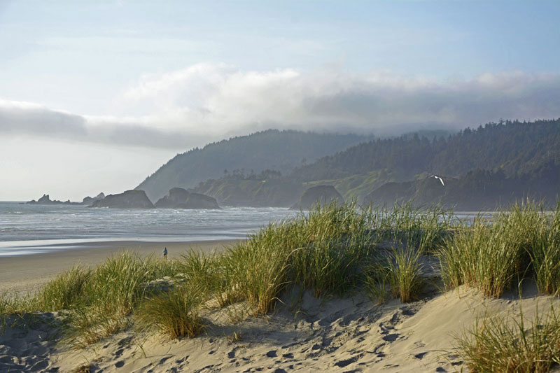 Cannon_Beach_2654.jpg