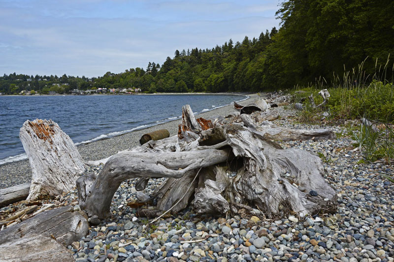 Lincoln_Beach_2990.jpg