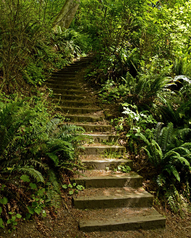Lincoln_Park_Stairs_3019.jpg