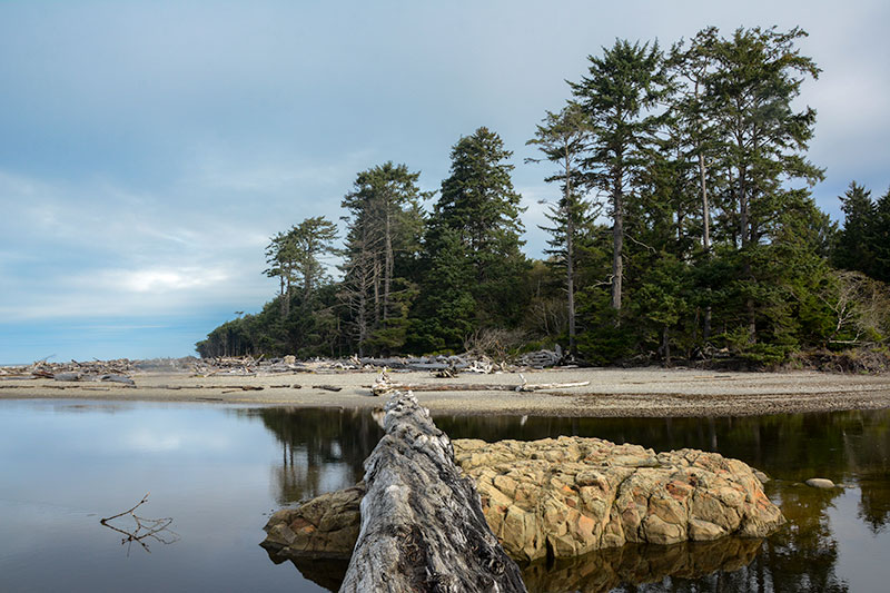 Kalaloch_Beach_9515.jpg