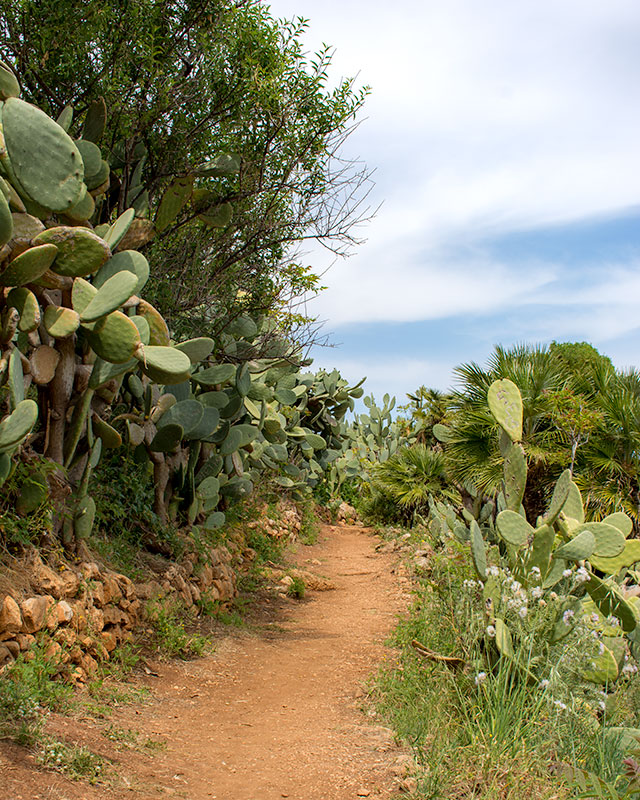 Zingaro_Nature_Reserve_Trail_2922.jpg