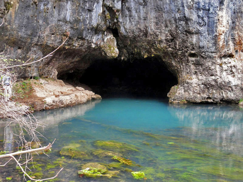 cavespring.jpg