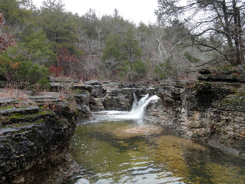 Hercules_Glades_Wilderness.jpg