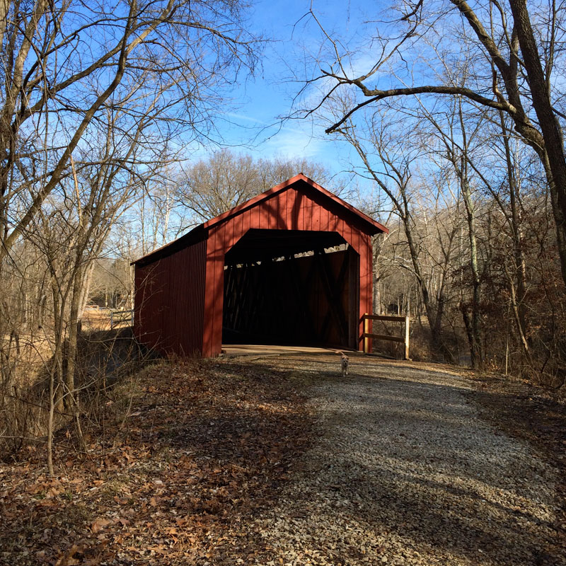 Sandy_Creek_Covered_Bridge.jpg