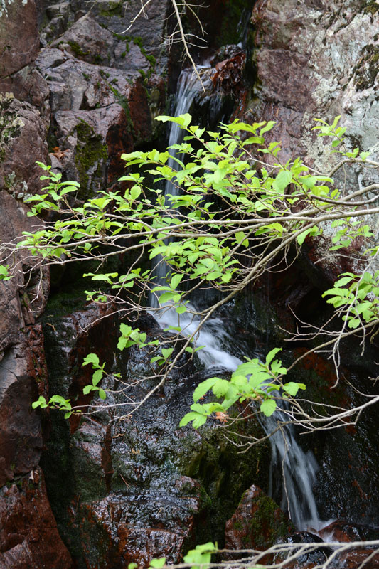 Black_Mountain_Cascade.jpg