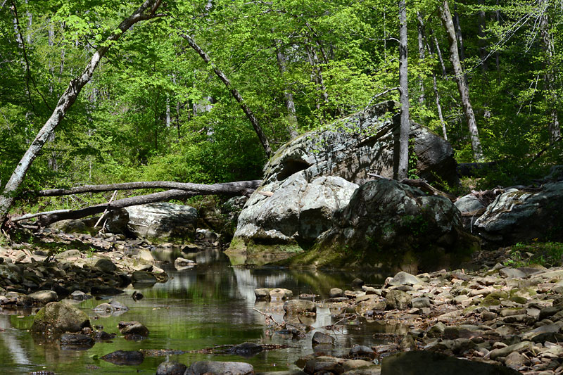 Max_Creek_2.jpg