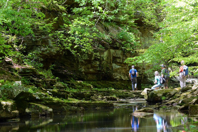 Max_Creek_Trail.jpg