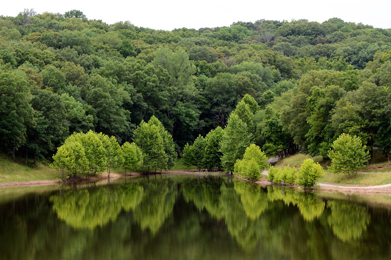 Lone_Elk_Lake.jpg