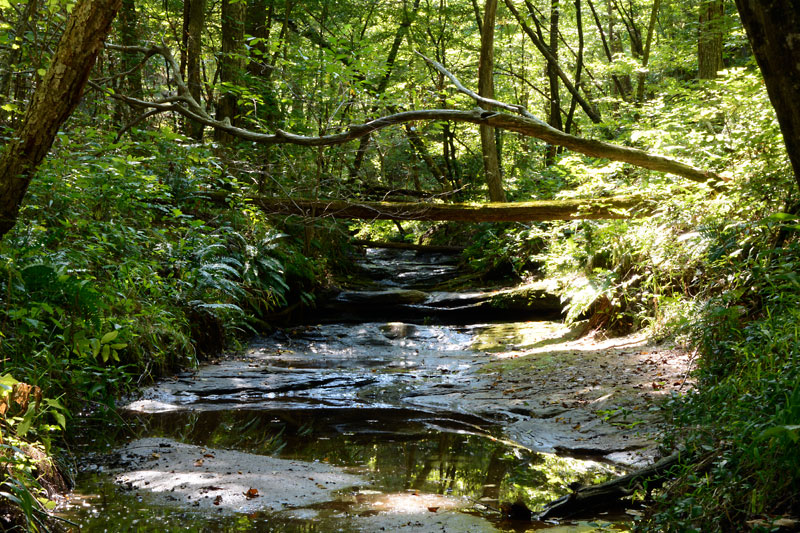 LaBarque_Creek4.jpg