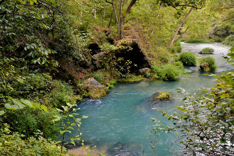 Pulltite_Spring.jpg