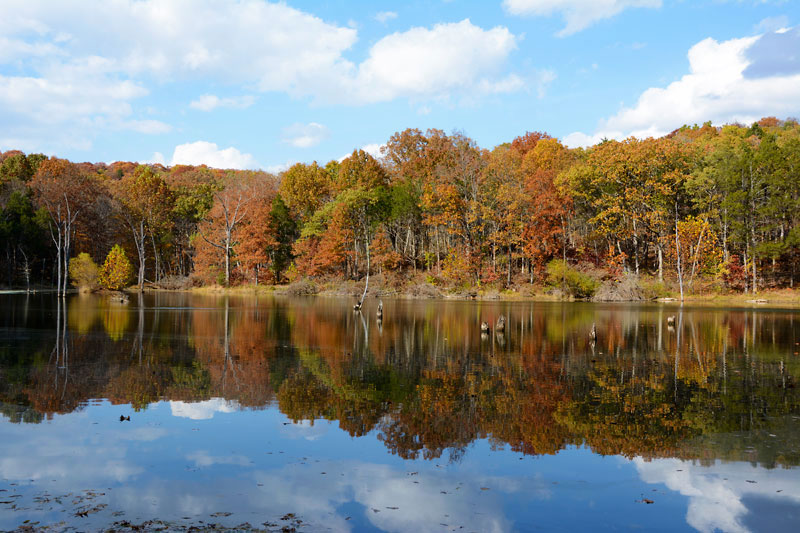 Myron_Sonya_Lake_9023.jpg