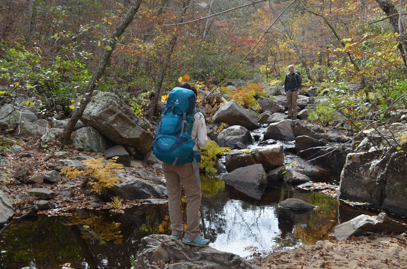 Pickle_Creek_Trail.jpg