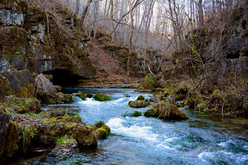 Greer_Spring_9381.jpg