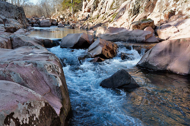 ShutIns_9787.jpg