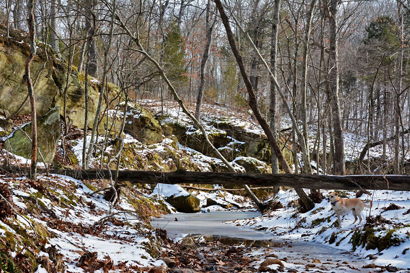 LaBaque_Creek_2923.jpg