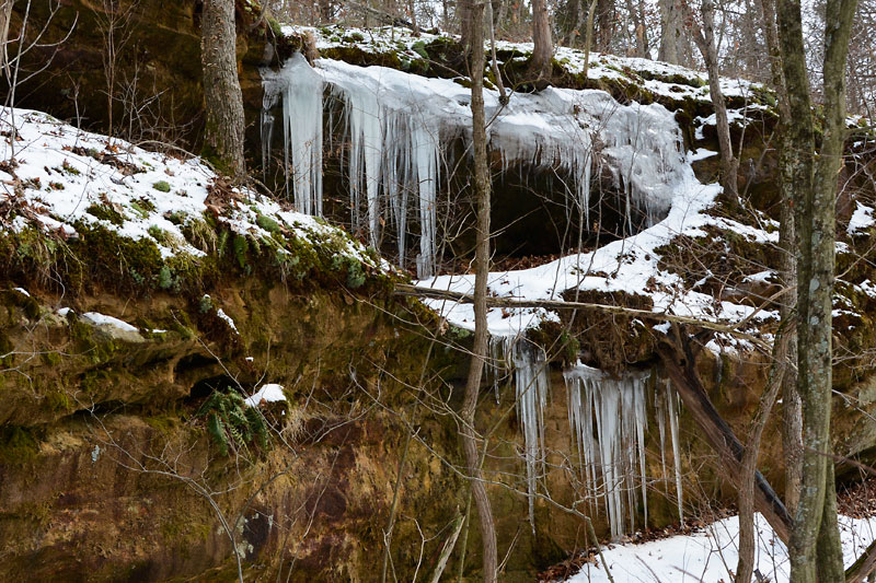 LaBarque_Icicles_2859.jpg