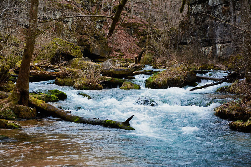 Greer_Spring_3306.jpg