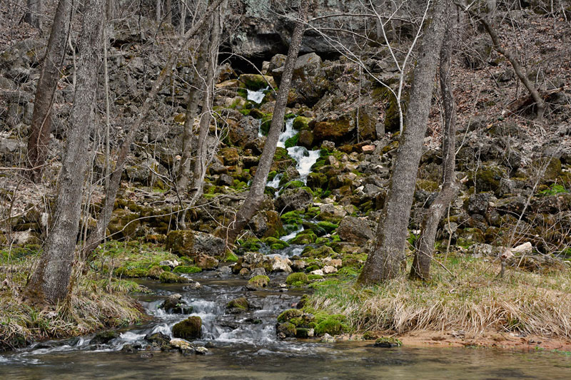 Turner_Mill_Spring_3413.jpg