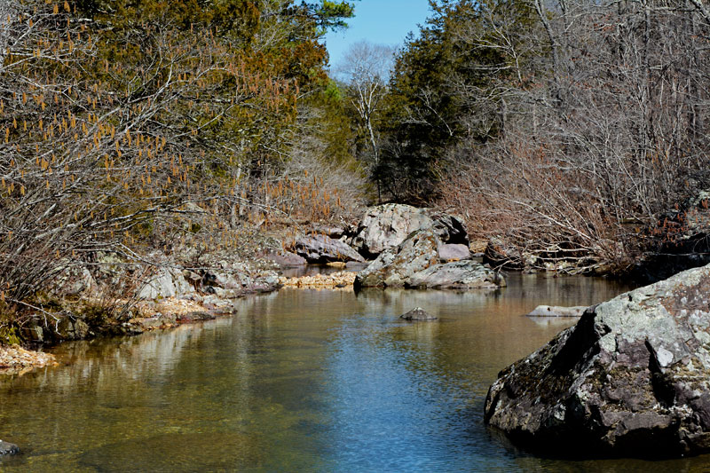 Shut-ins_Creek_3705.jpg