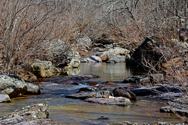 Shut-ins_Creek_3680.jpg