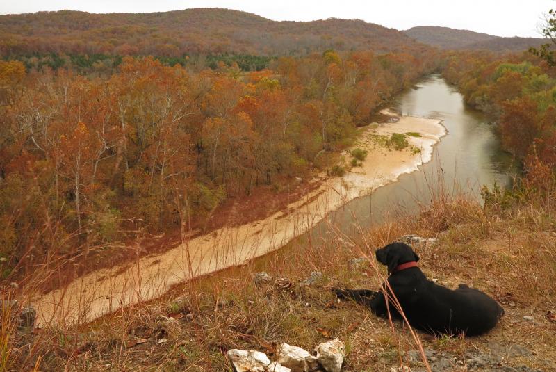 Current River Owls Bend Vista 1.jpg