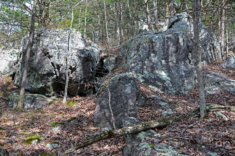 Ozark_Trail_4235.jpg