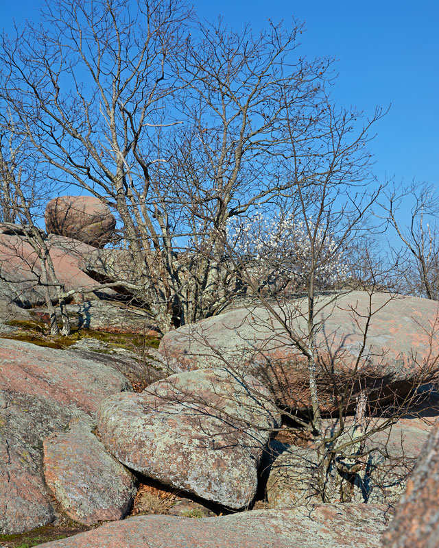 Elephant_Rocks_4485.jpg