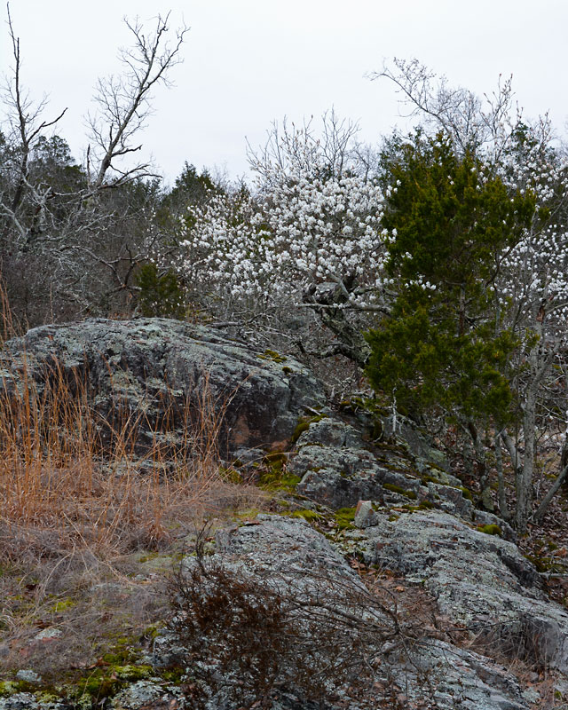 Hughes_Mountain_4661.jpg