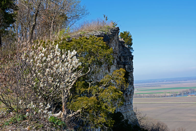Salt_Lick_Trail_5034.jpg