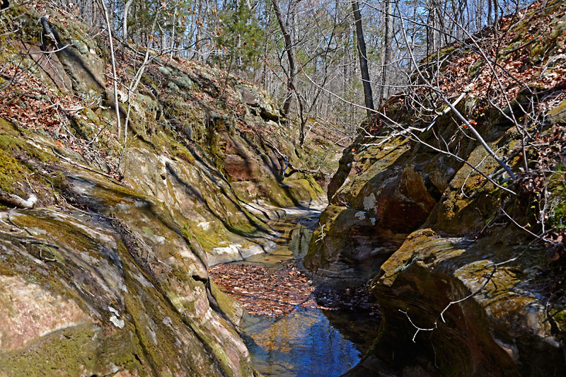 LaBarque_5463.jpg