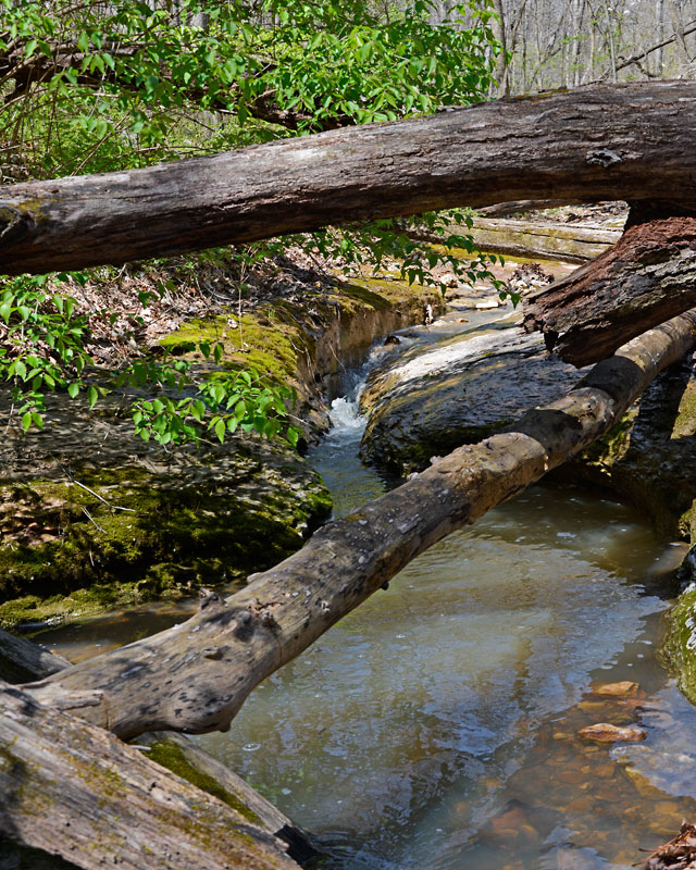 Rockwoods_Reservation_5550.jpg