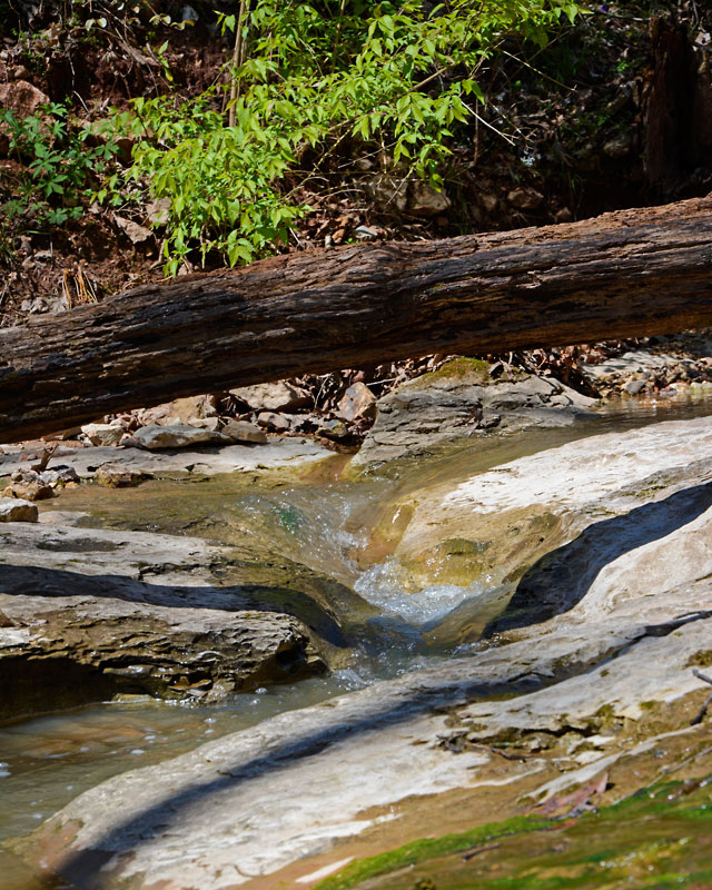 Rockwoods_Reservation_5554.jpg