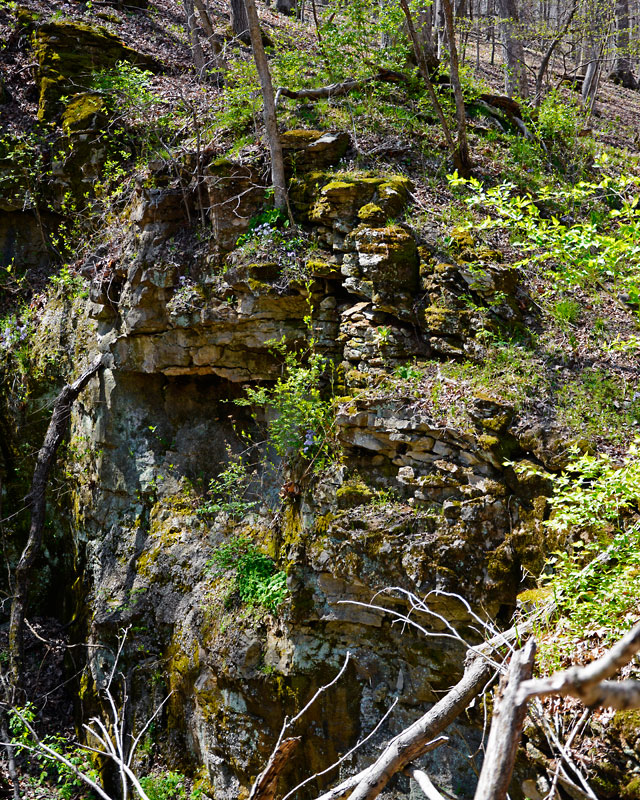 Rockwoods_5597.jpg