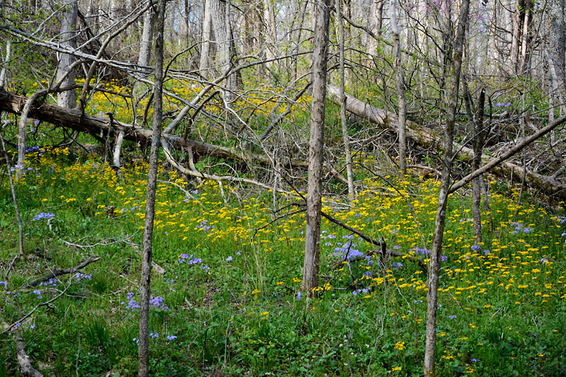 Myron_Sonya_5669.jpg