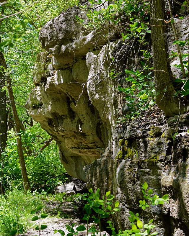 Bluff_View_5901.jpg