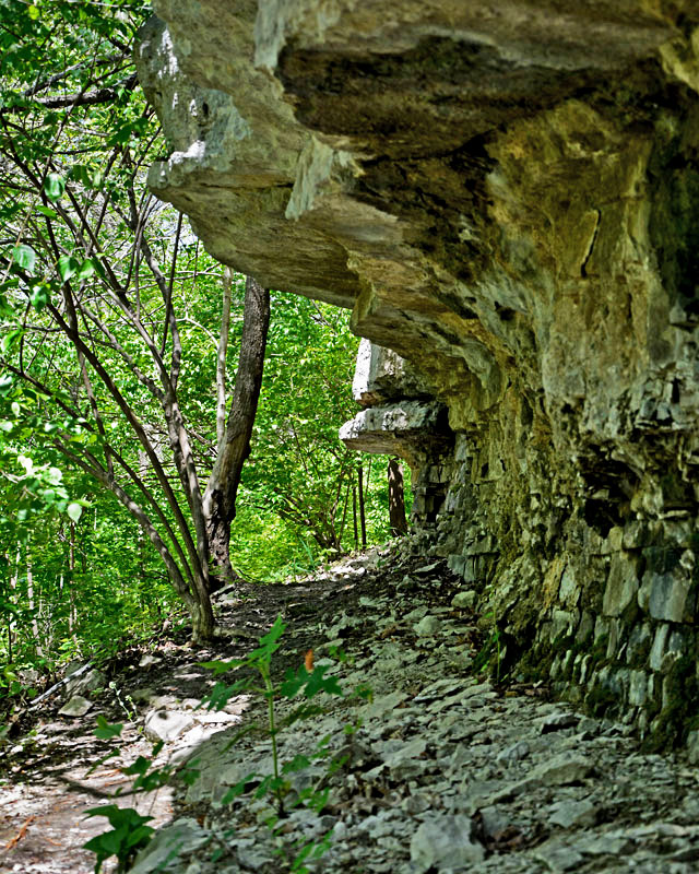 Bluff_View_5908.jpg