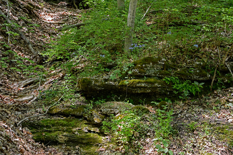 Bluff_View_Trail_5890.jpg