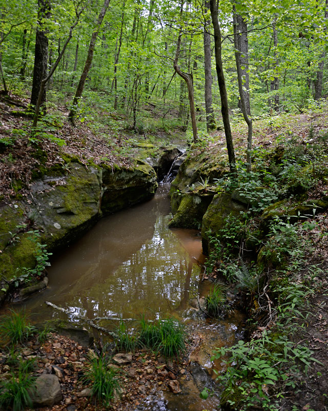LaBarque_Creek_6059.jpg