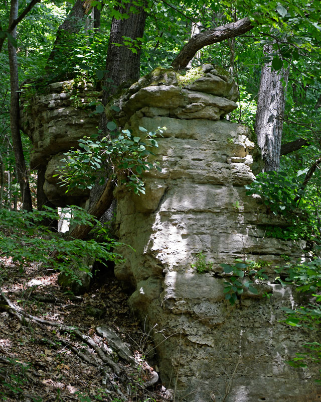 Rockwoods_6500.jpg