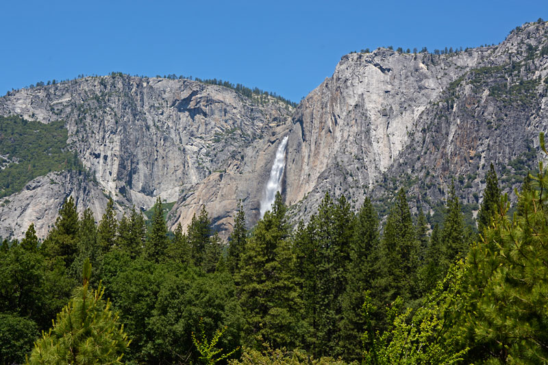 Yosemite_Falls_6962.jpg